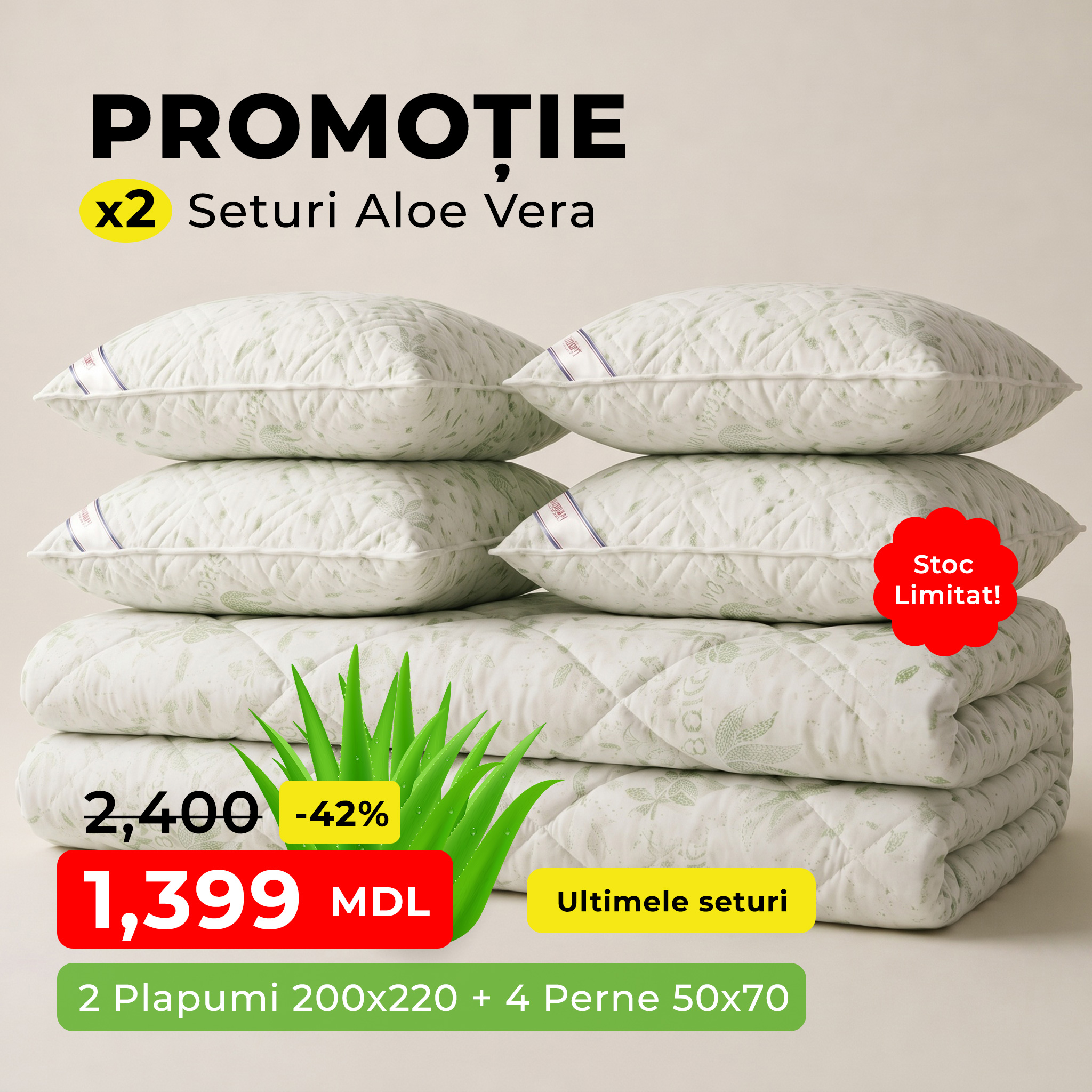 Spa ProBrush